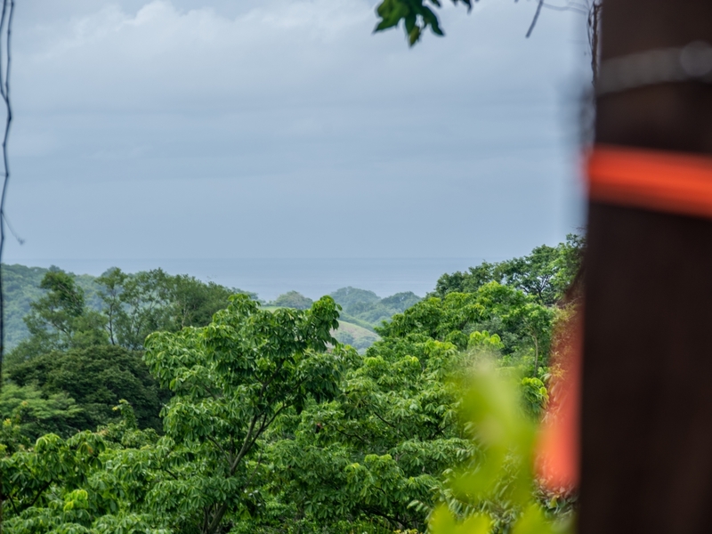 0 bed Land For Sale in Nosara, Guanacaste - 1